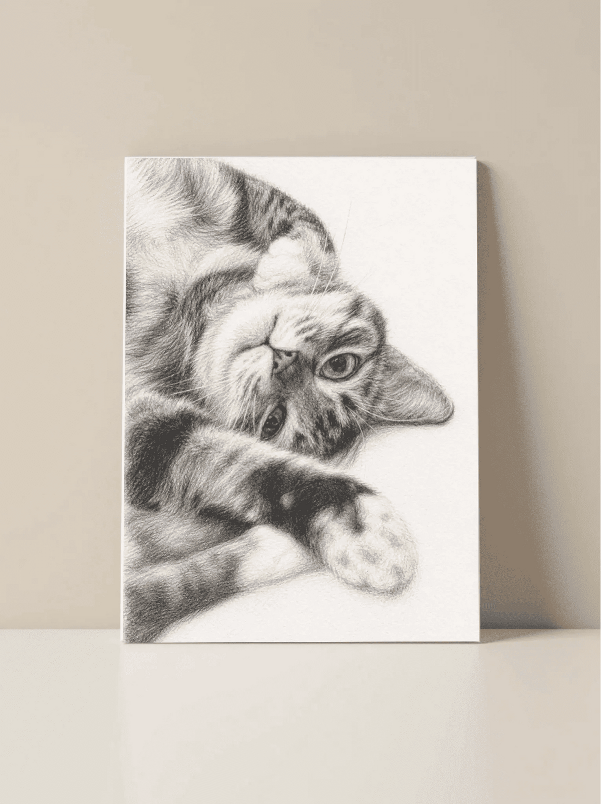 Custom Cat Portraits - The Animal Portrait Co