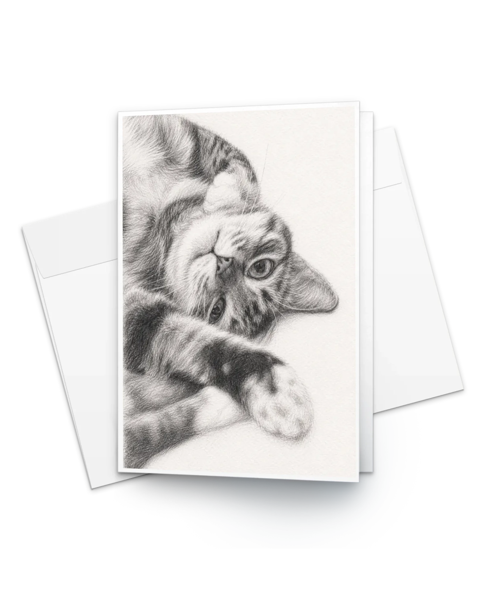 Cards with Pencil Sketch Pet Portrait